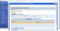 Figure 4: Maintaining the Master Data of a new supplier