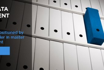 Master Data Management companies
