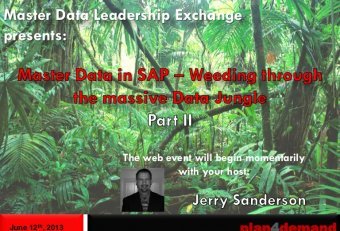 Master Data Management strategy