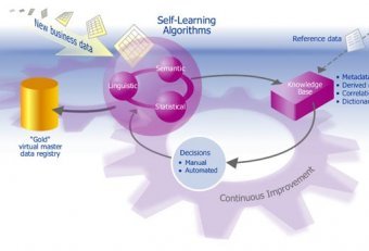 Microsoft Master Data Management